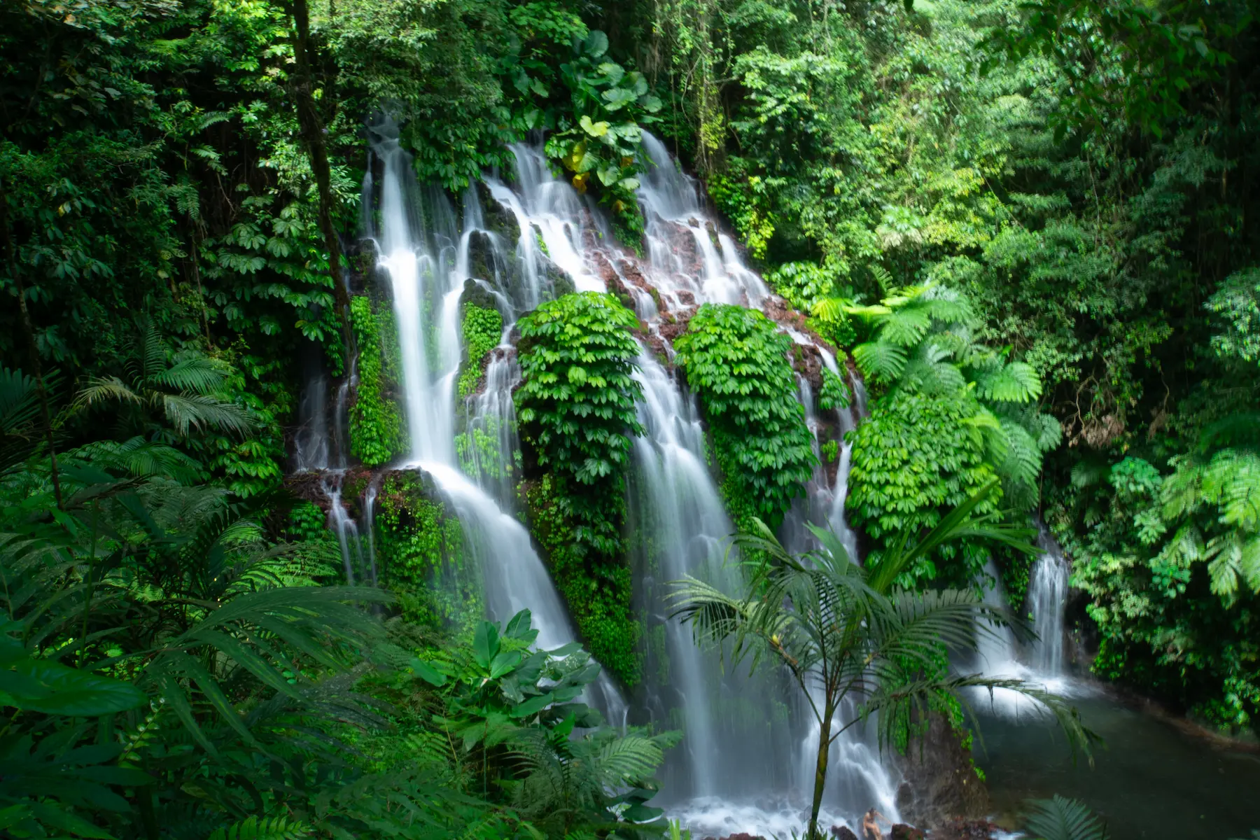 Banyu Wana Amertha waterfall in Buleleng, Bali — multiple streams falling through dense jungle.