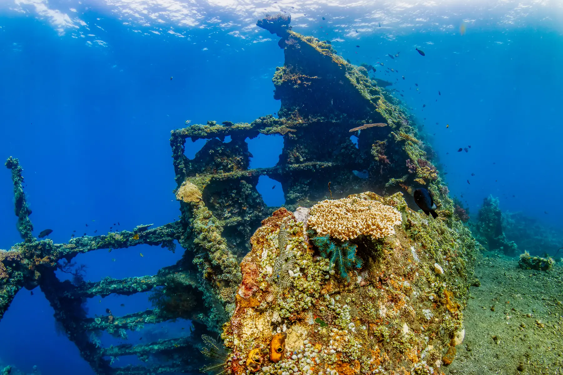 The USAT Liberty shipwreck underwater at Tulamben, east Bali.